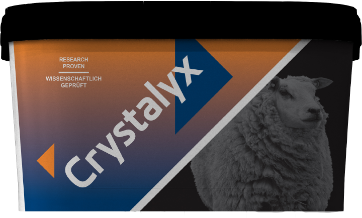 CRYSTALYX Garlyx (Schwarz) | raiffeisenmarkt.de